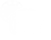 Vector